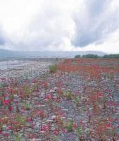 耐用防水PP数码写真背景 光学摄影器材的理想选择