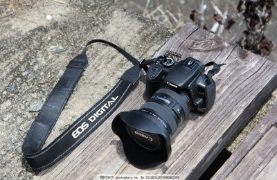 单反相机 开启专业摄影之门